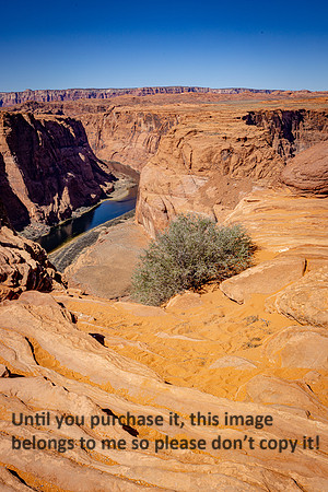 bush_lake powell_sedona-az_kellysheadshots.com_03-19-25-21019