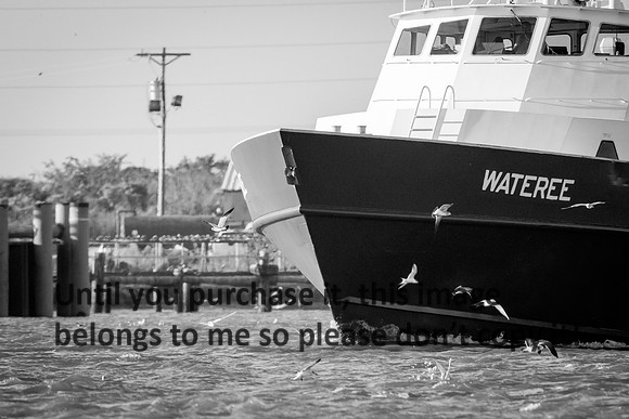 wateree_crew-boat_b&w_cameron_louisiana_kelly-morvant-photography_10-23-14-6662