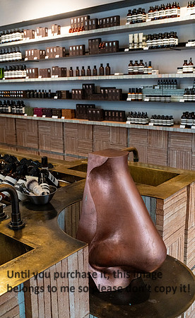 aesop_france_2026_kellysheadshots.com_lg-01830