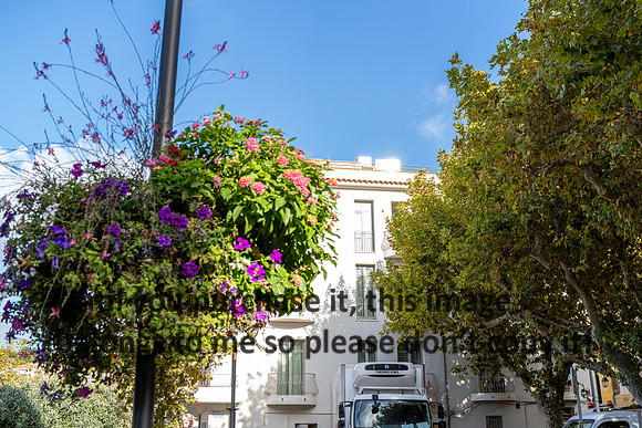flowers_france_2026_kellysheadshots.com-02277