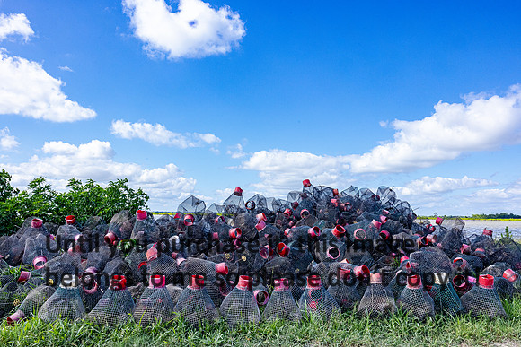 acadia_crawfish-cages_sky_06-13-23_kellysheadshots.com-19600