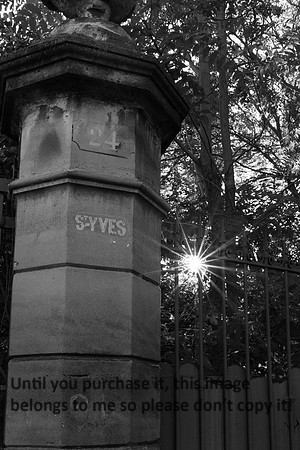 st-yves_2026_kellysheadshots.com_lg_bw-02107