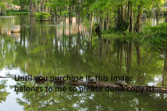 ul-stock_2016_kelly-morvant-photography-9444