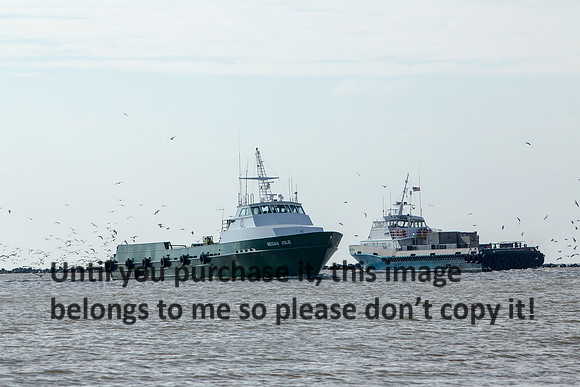crewboat_megan-jolie_cameron-louisiana_kelly-morvant-photography_12-31-14-0049