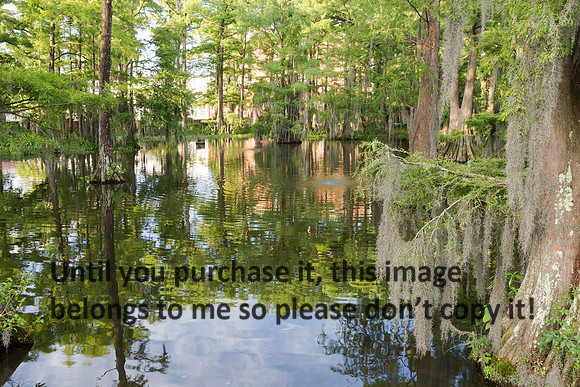 ul-stock_2016_kelly-morvant-photography-9420
