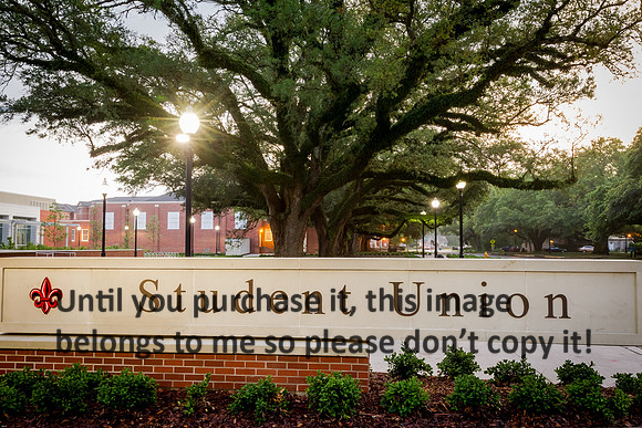 ul-lafayette-la_student-union_2015_kelly-morvant-photography-9547