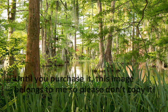 ul-stock_2016_kelly-morvant-photography-9428
