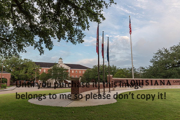 ul-stock_2016_kelly-morvant-photography-9355