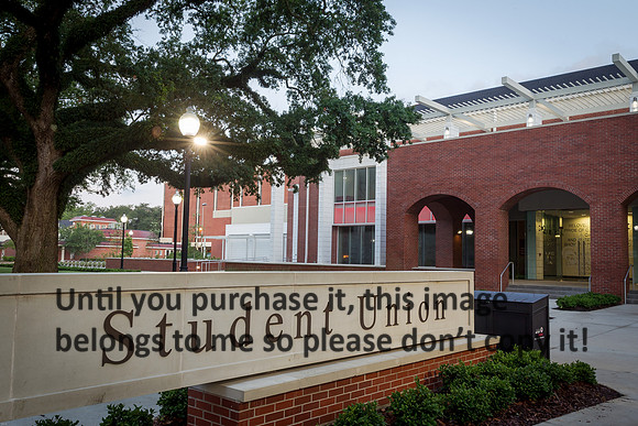 ul-lafayette-la_student-union_2015_kelly-morvant-photography-9562