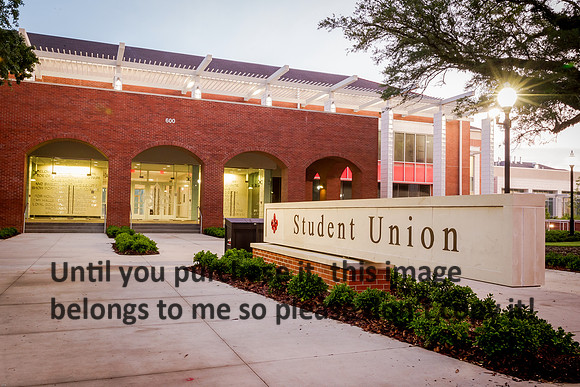 ul-lafayette-la_student-union_2015_kelly-morvant-photography-9540