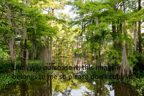 ul-stock_2016_kelly-morvant-photography-9416