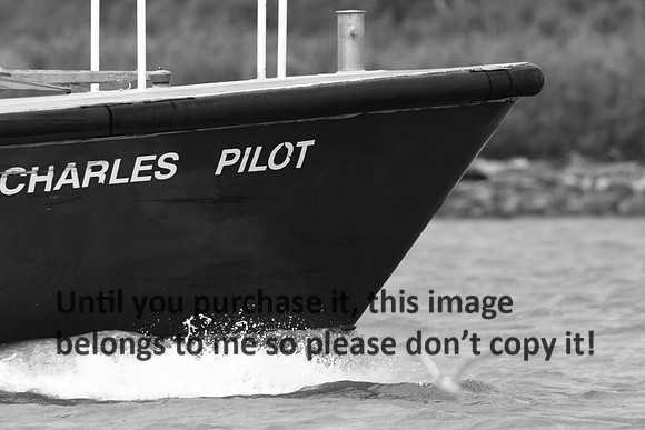 Charles Pilot_Bow_Cameron, LA_5687