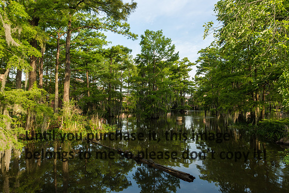 ul-stock_2016_kelly-morvant-photography-9457