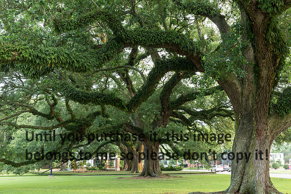 ul-stock_2016_kelly-morvant-photography-9388
