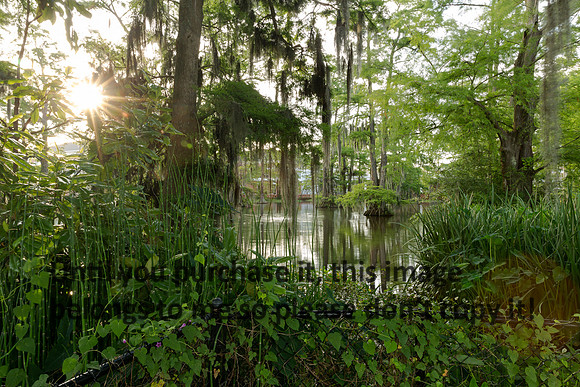 ul-stock_2016_kelly-morvant-photography-9439
