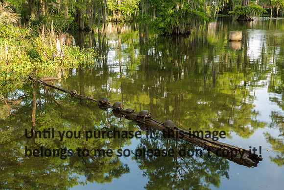 ul-stock_2016_kelly-morvant-photography-9462
