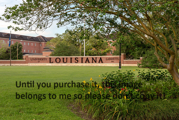 ul-stock_2016_kelly-morvant-photography-9396