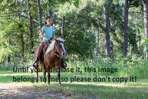 mike-francis_psc_family_2016_kelly-morvant-photography-0179