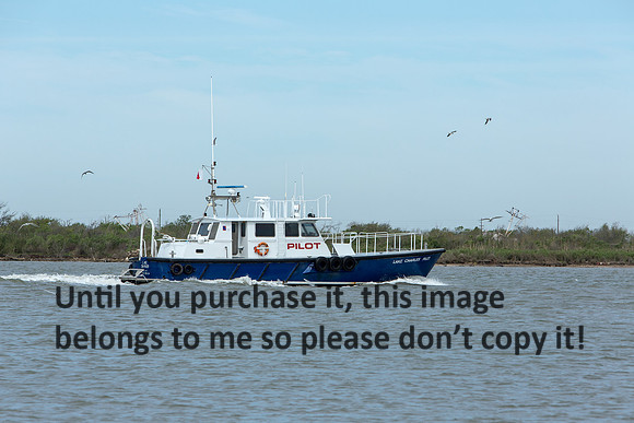 Lake Charles Pilot_Boat_Cameron_La_03-30-14-3940