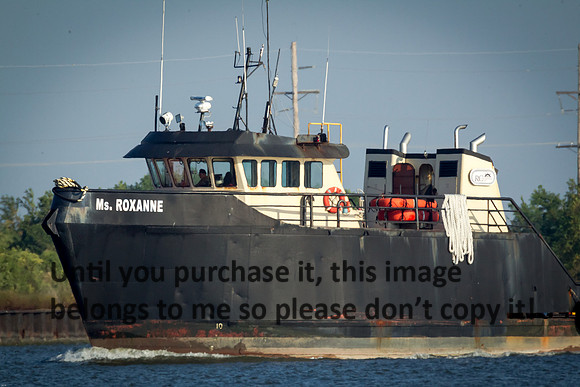 ms-roxanne_cameron-louisiana_kelly-morvant-photography_10-19-14-6421