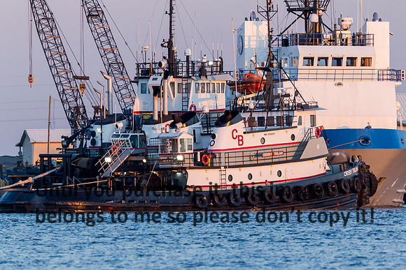 crosby-trojan_tugboat_cameron_03-03-17_kellymorvant-photography-2017-0130