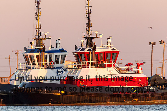 tristan-k_tugboat_cameron_03-03-17_kellymorvant-photography-2017-0131