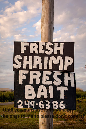 fresh-shrimp_sign_cameron_la_04-23-17_kelly-morvant-photography (1 of 1)