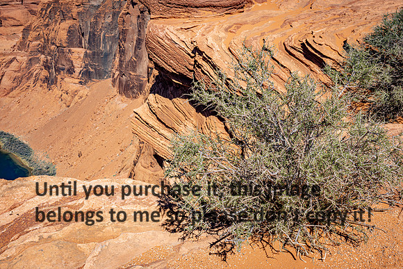 bush_lake powell_sedona-az_kellysheadshots.com_03-19-25-21014
