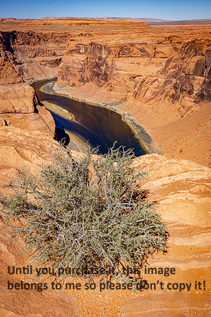 bush_lake powell_sedona-az_kellysheadshots.com_03-19-25-21015