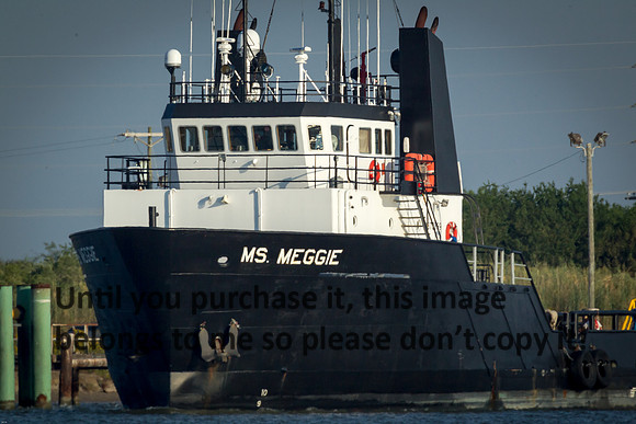 Ms_Meggie_cameron-louisiana_kelly-morvant-photography_10-19-14-6357