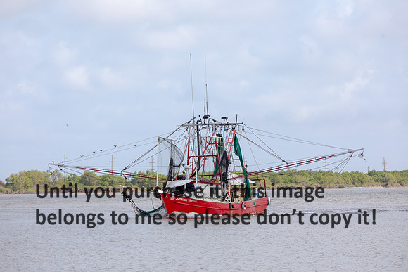 kathleen-yvonne_shrimp-boat_cameron-la_06-03-18_kelly-morvant-photography-7743