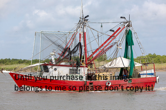 kathleen-yvonne_shrimp-boat_cameron-la_06-03-18_kelly-morvant-photography-7749