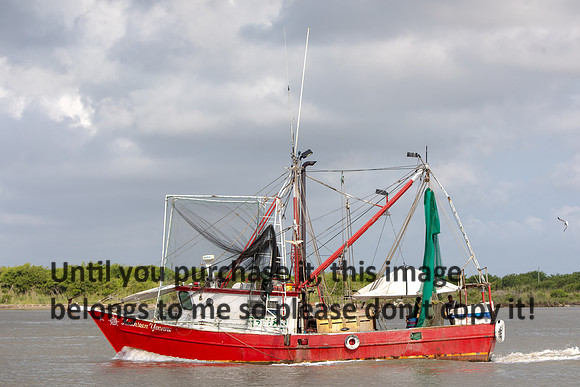 kathleen-yvonne_shrimp-boat_cameron-la_06-03-18_kelly-morvant-photography-7753