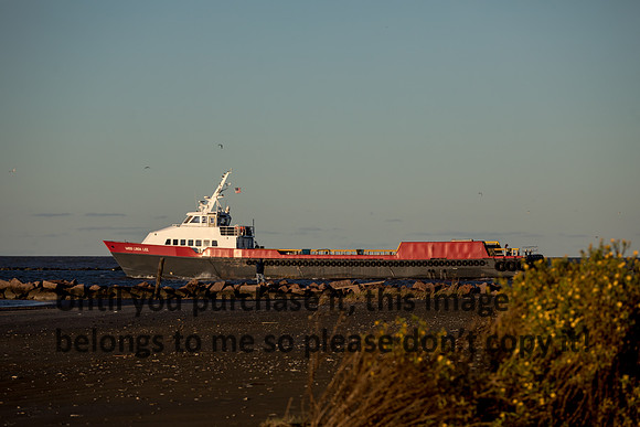 cameron-jettys-gulf_miss-linda-lee_11-03-18_kelly-morvant-photography-6415