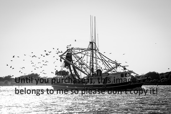 southern-lady_shrimp-boat_b&w_cameron_louisiana_kelly-morvant-photography_10-23-14-8396