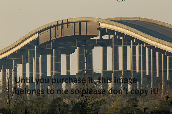 intracoastal-canal-bridge_cameron-louisiana_kelly-morvant-photography_12-31-14-0725