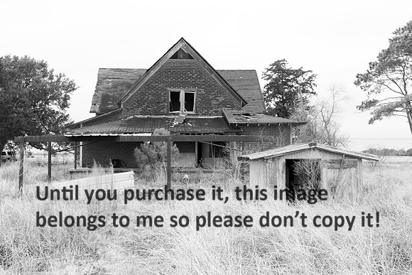 ThisOldFarmHouse-0443
