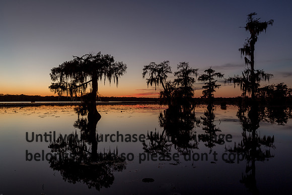 lake-martin_sunset_lafayette-louisiana_kelly-morvant-photography_11-18-14-9408