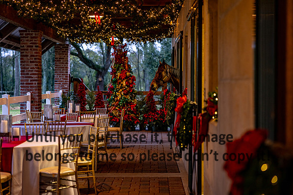 harley-melancon_robert-gardes_12-16-23_kellysheadshots.com_16650