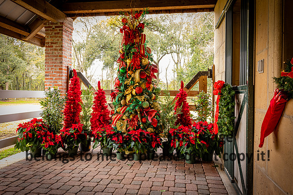 harley-melancon_robert-gardes_12-16-23_kellysheadshots.com-16277