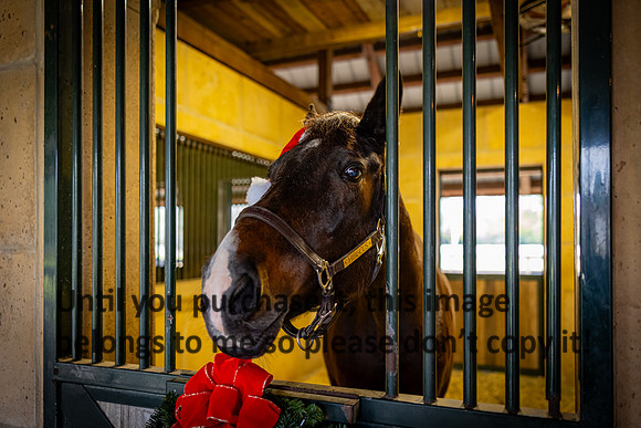 harley-melancon_robert-gardes_12-16-23_kellysheadshots.com-16315