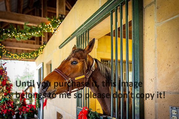 harley-melancon_robert-gardes_12-16-23_kellysheadshots.com-16314
