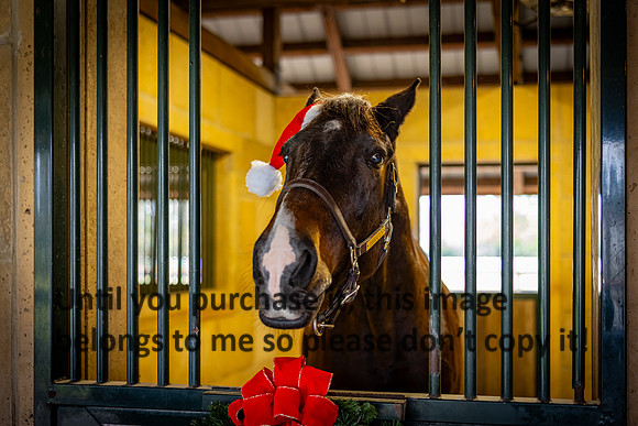 harley-melancon_robert-gardes_12-16-23_kellysheadshots.com-16319