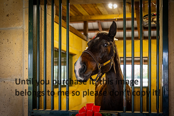 harley-melancon_robert-gardes_12-16-23_kellysheadshots.com-16325