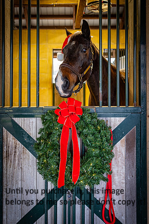 harley-melancon_robert-gardes_12-16-23_kellysheadshots.com-16346