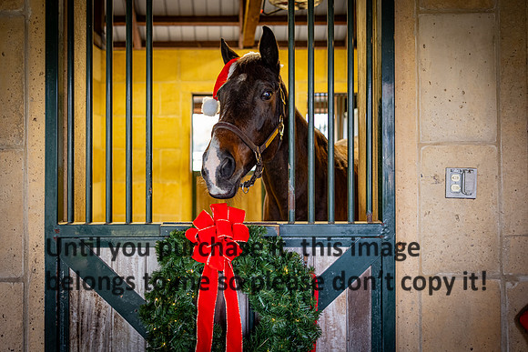 harley-melancon_robert-gardes_12-16-23_kellysheadshots.com-16350