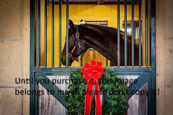 harley-melancon_robert-gardes_12-16-23_kellysheadshots.com-16352
