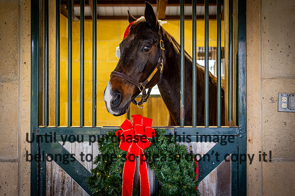 harley-melancon_robert-gardes_12-16-23_kellysheadshots.com-16353