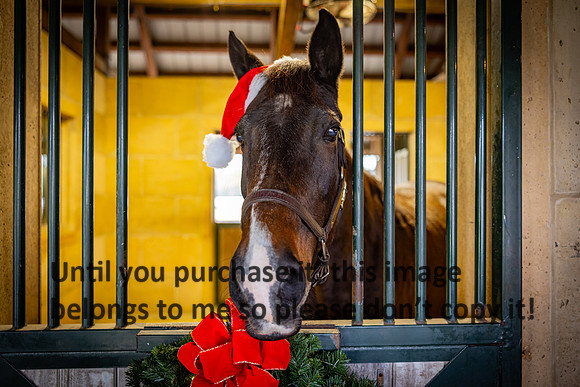 harley-melancon_robert-gardes_12-16-23_kellysheadshots.com-16355