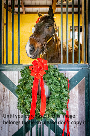harley-melancon_robert-gardes_12-16-23_kellysheadshots.com-16363